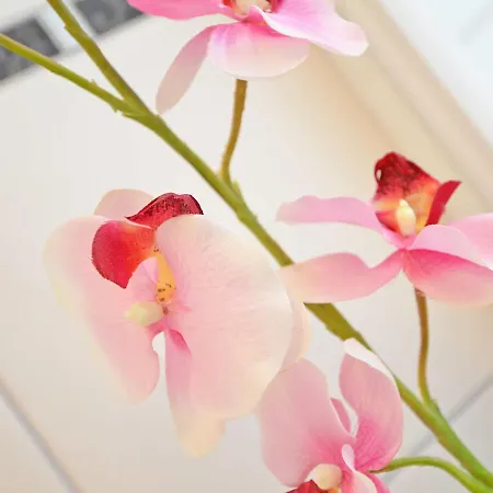 Rosa - Apt. 05 Villa