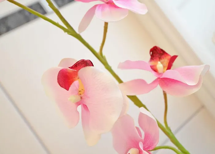 Rosa - Apt. 05 Вилла