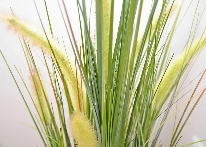 Rosa - Apt. 05 Вилла